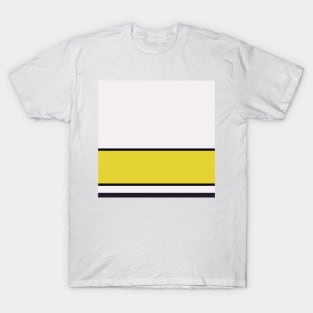 A capital concoction of Very Light Pink, Raisin Black, Almost Black, Dark Pink and Sandstorm stripes. T-Shirt